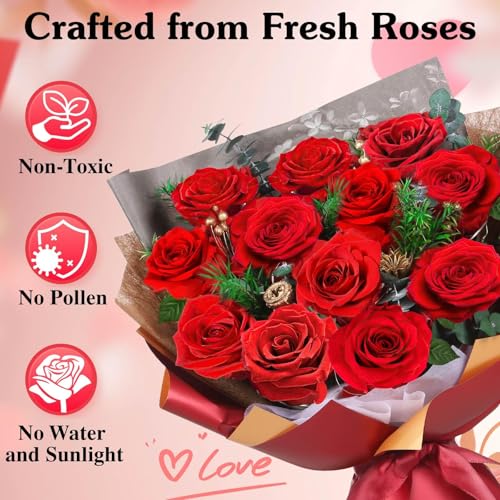 ADDWel 12 Preserved Red Roses Bouquet - Real Roses That Last Years, Romantic Anniversary & Birthday Gifts for Wife, Girlfr...