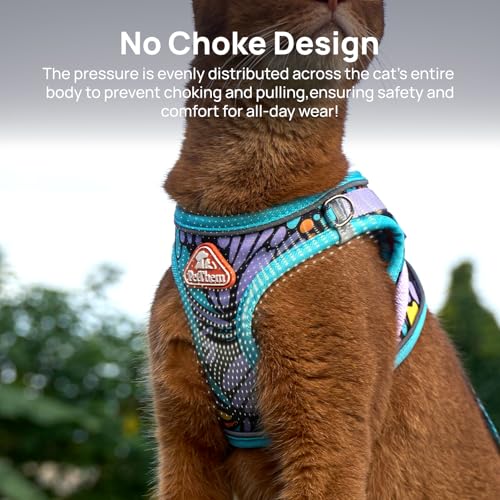 XXS Cat Harness and Leash Set for Kittens & Very Small Cats, Escape Proof Step-in Adjustable Vest, Soft Breathable Reflect...