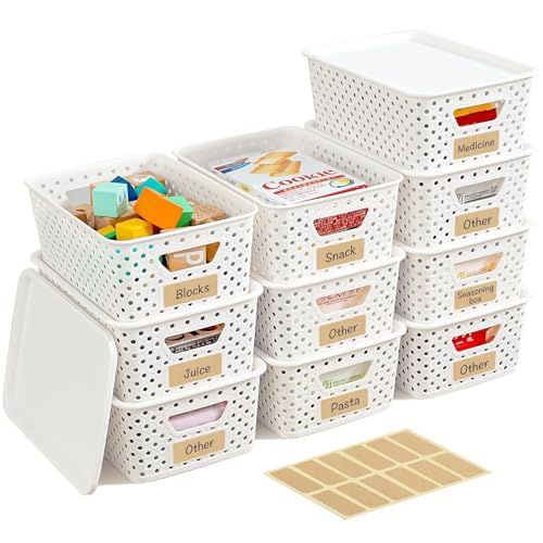 10 Pack Small Plastic Storage Bins with Lids, Stackable Plastic Storage Baskets for Organizing with Handles, Organizer Bin...