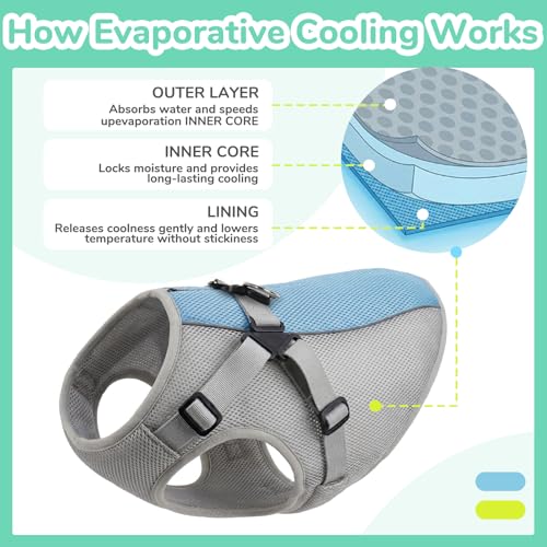 FUAMEY Dog Cooling Vest for Small Dogs, Doggy Evaporative Cooling Jacket in Hot Weather, Puppy Breathable Mesh Cooler Vest...