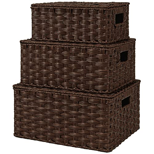 GRANNY SAYS Wicker Baskets with Lids, Set of 3 Decorative Storage Boxes, Woven Basket for Organizing, Storage and Organize...