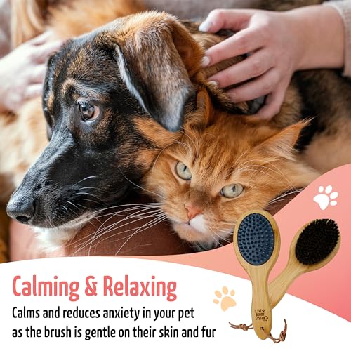 The Buddy System Combo Bristle Pet Brush, 2-in-1 Brush, Durable Rubber Side and Soft Boar Bristle Side - All Pets and Coat...