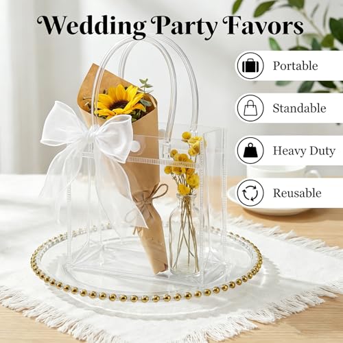 MAQIHAN Clear Gift Bags with Handles - 10 Party Favor Candy Bags, Plastic Goodie Bags Transparent, bolsitas, for Valentine...