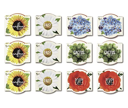BUZZY Seeds Mini Terracotta Pots 12-Pack with Plant Seeds, Poppy, Sunflower, Daisy, Cactus and Forget Me Not, All-in-One S...