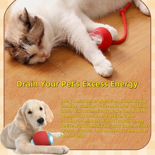 Interactive Dog Cat Toy Ball, Automatic Moving Bouncing Rolling, with Replacement Tail, Pet Smart Chase Ball Rechargeable,...