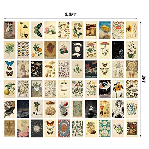 Containlol 60 Pcs Vintage Wall Collage Kit Maximalist Paintings Art Prints Botanical Illustration Tarot Aesthetic Vintage ...