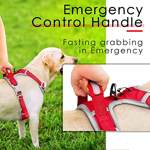 ThinkPet No Pull Harness Set Breathable Sport Harness with Handle - Reflective Padded Dog Safety Vest with Reflective Neon...