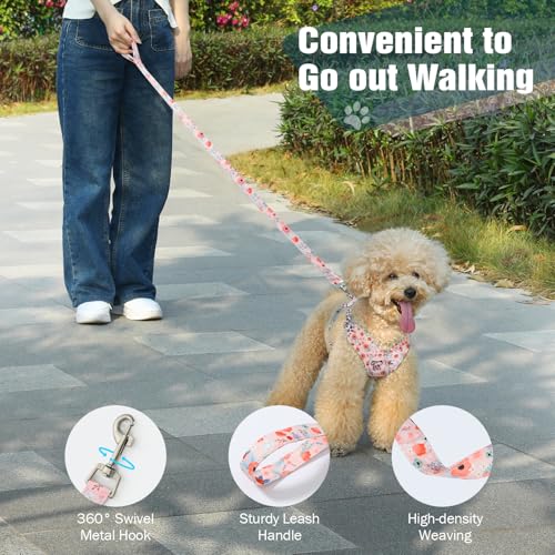 Pawaboo Small Dog Harness and Leash Set, Puppy Harness X-Frame No Pull No Choke, Dog Vest Harnesses Adjustable for Small M...