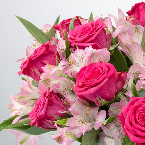 Benchmark Bouquets - Charming Roses & Alstroemeria (Glass Vase Included) - Fresh Flowers for Delivery - Gift for Graduatio...