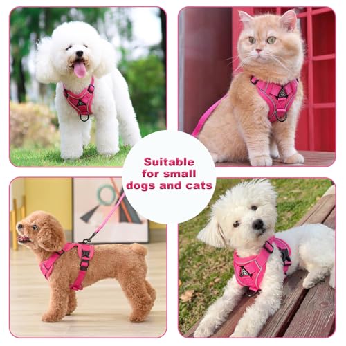 SOLMOONY Small Dog Harness,Soft Mesh Puppy Harness and Leash Set,No Escape Cat Harnesses for Training Walking,Reflective A...