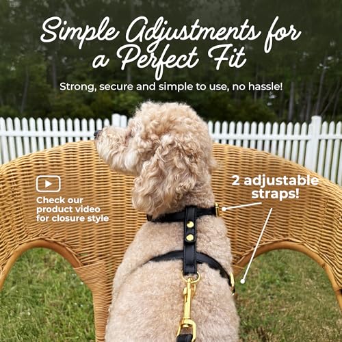 Luxury No Pull Dog Harness and Leash Set, PU Leather Escape-Proof Design, Anti-Choke Comfort, Front/Back Attachment, Essen...