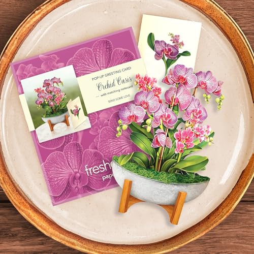 Freshcut Paper Pop Up Cards, Mini Orchid Oasis (Set of 2), 6 Inch Mini Sized Forever Flower Bouquet 3D Popup Greeting Card...
