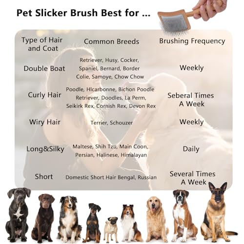 Werduoland Ergonomic Slicker Brush for Long-Haired Dogs - Wooden Handle, Long Pins for Grooming Goldendoodles