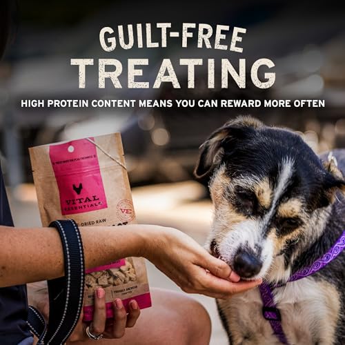 Vital Essentials Freeze Dried Raw Chicken Hearts Dog Treats | Single Ingredient | Premium Quality | Grain Free Treats for ...