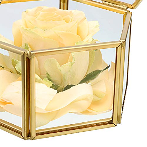 Hipiwe Preserved Flower Glass Box, Hexagon Glass Jewelry Decorative Bin, Ornate Trinket Display Organizer Case Keepsake Bo...