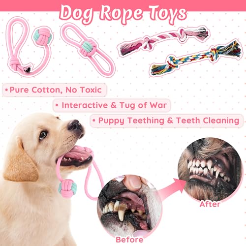 Ousiya 12 Pack Puppy Toys for Teething, Small & Medium Dogs – Chew Toys, Rope Toys & Interactive Dog Toys Set with Storage...
