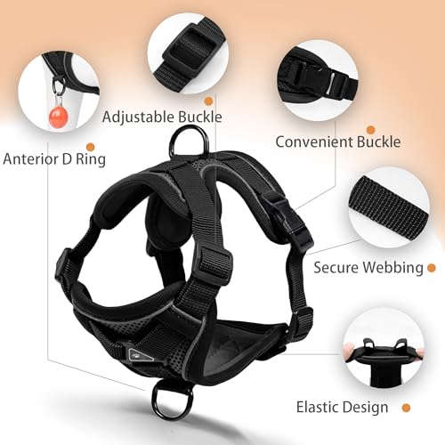 Jolifield No Pull Dog Harness with Leash Set for Small Sized Dog, Reflective Adjustable No Choke Cat Vest HarnessSoft Padd...