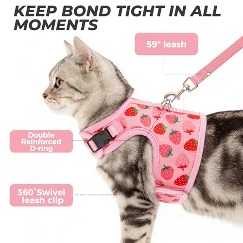 BINGPET Cat Harness and Leash Set Escape Proof, Fashionable Adjustable Mesh Harness for Walking, Soft Cute Breathable Easy...