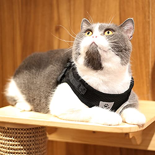 MYKOMI Comfort Step-in Cat Dog Harness and Leash Set for Puppies Cats Kitty Escape Proof Pet Vest Harnesses for Small Anim...