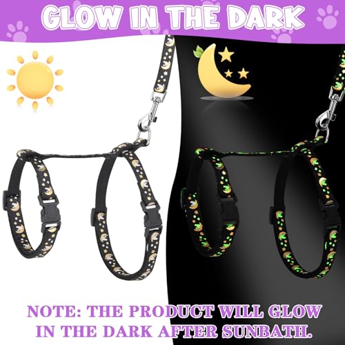 Guiqulai 2 Pack Cat Harness and Leash with Collar Set, Escape Proof Cat Harness Adjustable Kitten Harness Glow in The Dark...