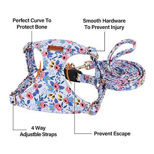 CHEDE No Pull Floral Pattern Dog Harness- Lightweight and Soft Harness, Adjustable Small Dog Harness and Leash Set, with D...