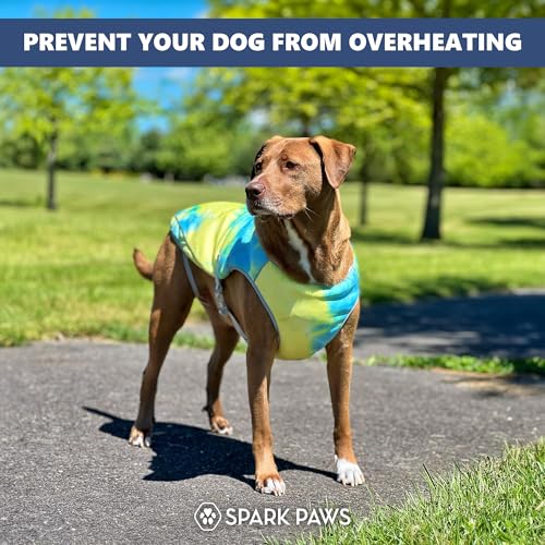 Spark Paws Dog Cooling Vest - SPF 50 UV Sun Protection - Summer Heat Relief Gear for Dogs, Lightweight, Evaporative Coolin...