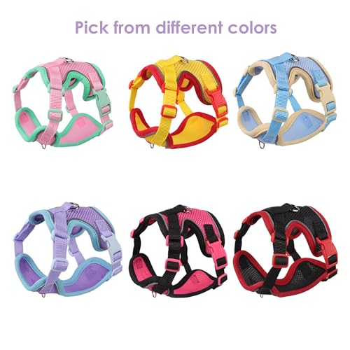 Cat Harness and Leash Set for Walking – Escape-Proof Reflective Vest for Cats and Small Dogs, Adjustable Soft Air Mesh wit...