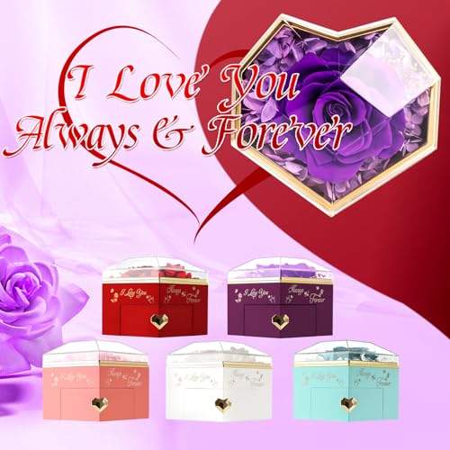 minstely Heart Shape Preserved Real Rose Box with Necklace, Forever I Love You Roses Gifts for Her, Eternal Flowers Gifts ...
