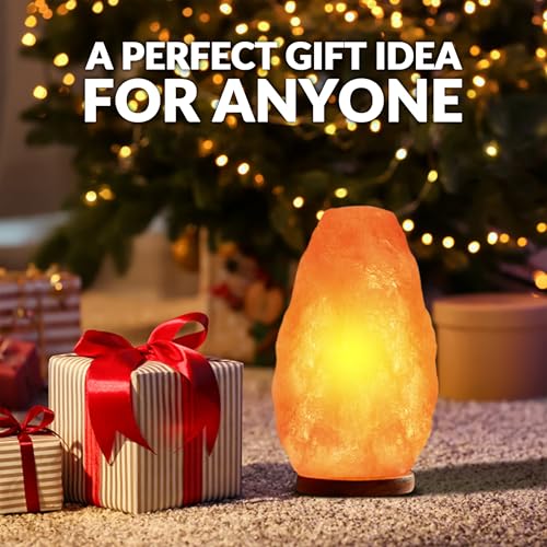 WBM LLC Himalayan Glow Natural Pink Salt Lamp, Crystal Salt Lamp Night Light with (ETL Certified) Brightness Control Dimme...