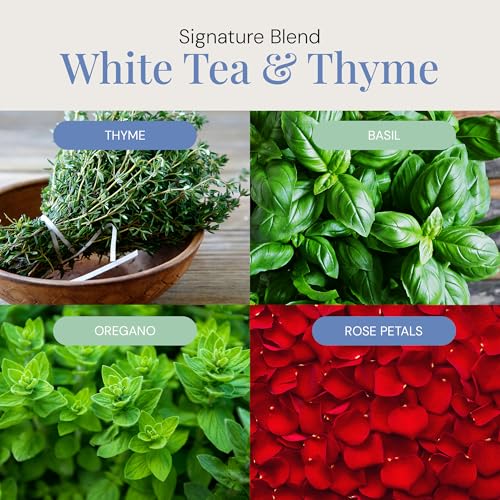 White Tea & Thyme Aroma Oil, Essential Oils Blend for Diffusers & Scent Machines, Rose Petals, Thyme & Balsam, Aromatherap...
