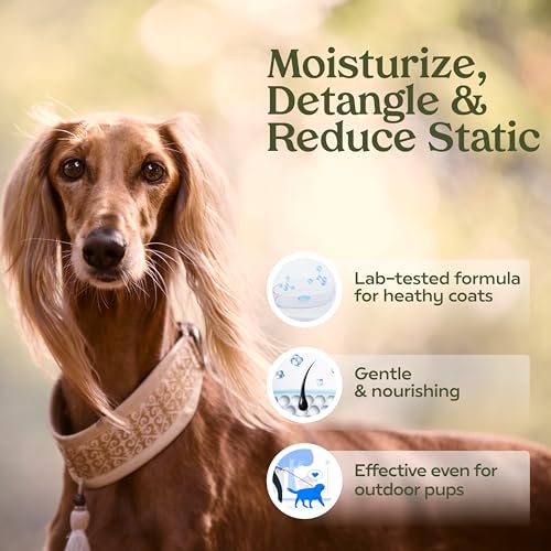 PAWFUME Dog Perfume Spray Long Lasting Scent for Grooming, Show Dog, 1-Pack – Keep Your Pup Fresh All Day – Hypoallergeni...