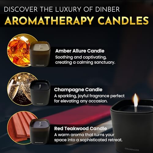 Candle Gift Set – 3 Scented Soy Candles, Clean Burn 50+ Hrs – Flower-Inspired Scents: Amber, Red Tea Wood, Champagne – Bul...