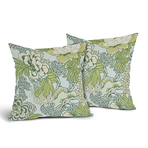 Sweetshow Spring Green Flowers Chinoiserie Pillow Covers 2 Packs 20x20 Inch Lighe Green Floral Throw Pillows Vintage Sage ...