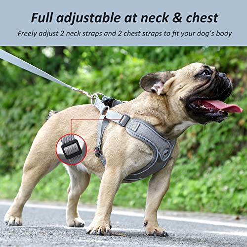 Dog Frenchie Harness with Leash Set, No Pull Adjustable Step in with Breathable Padded Vest Harness for Small Medium Large...
