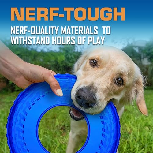 Nerf Dog Tire Flyer Dog Toy Gift Set, 10 Inch Flying Disc Dog Fetch Toys, Rubber Dog Toy for Medium Dogs and Large Dogs, R...