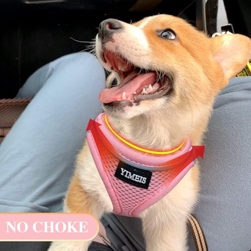 YIMEIS Dog Harness and Leash Set, No Pull Soft Mesh Pet Harness, Reflective Adjustable Puppy Vest for Small Medium Large D...