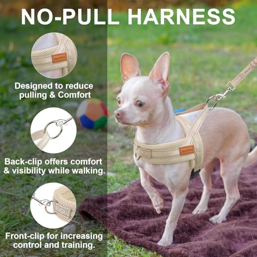 BEAUTYZOO Dog Harness No Pull, Quick Fit Dog Harness and Leash Set, Escape Proof Vest Harness with Soft Handle, Reflective...