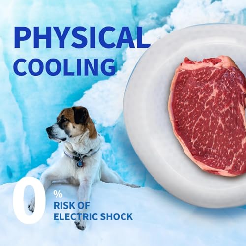 ALL FOR PAWS Dog Cooling Water Bowl, Pet Cold Frosty Bowl Cooler for Small Dogs & Cats, Summer Chill Out Water & Food Bow...