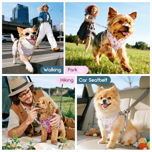 Pawaboo Small Dog Harness and Leash Set, Puppy Harness X-Frame No Pull No Choke, Dog Vest Harnesses Adjustable for Small M...