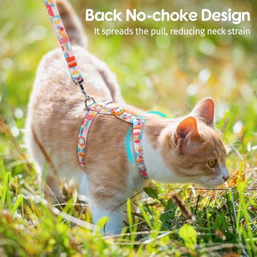 Dooradar Cat Harness and Leash, Escape Proof Adjustable Kitten Vest, Lightweight Soft Pet Straps, Easy Wearing for Small M...