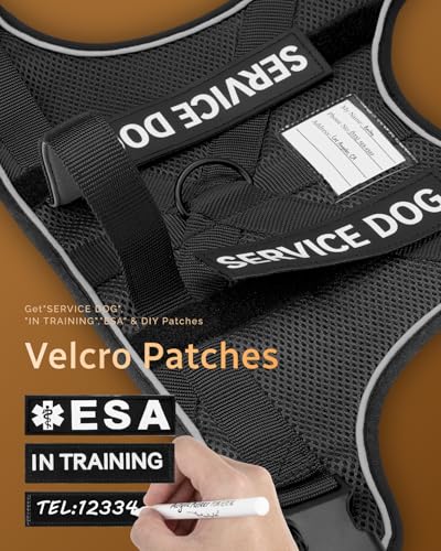 FAYOGOO Service Dog Vest for Large Dogs - Air Mesh Breathble Emotional Support Animal Vest with DIY Removable Patches - Do...