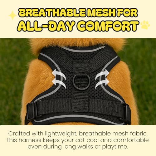 AdoPet No-Pull Cat Harness and Leash Set for Small Cats – Adjustable Reflective Soft Padded Pet Vest for Walking & Trainin...
