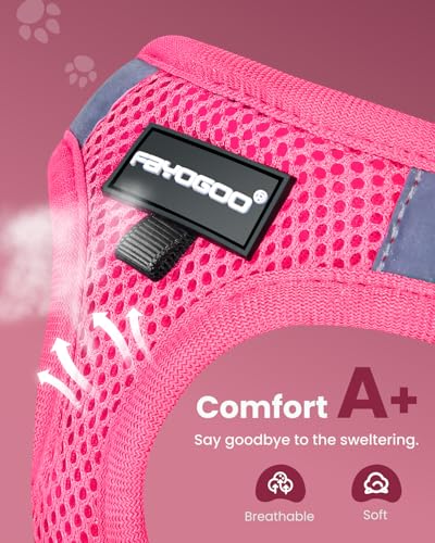 FAYOGOO Cat Harness and Leash Set | Upgrade Step-in Escape Proof Harness | Lightweight Soft Vest, No-Choke Design for Walk...