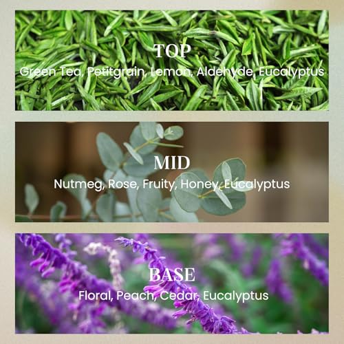 M&SENSE Sage Eucalyptus Candles for Home Scented, 2 Wick 12.7oz Soy Wax Candles Non Toxic,70 Hours Long Burning,Christmas ...