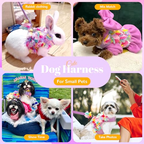 TENGZHI Cute Small Dog Harness and Leash Set Purple Lace Floral Girl Puppy Harness for Small Dogs Cats Soft Mesh Dog Vest ...