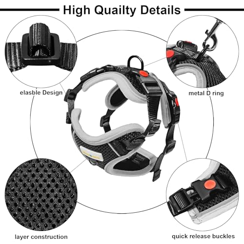 MingXpets Cat Harness and Leash for Walking, Retractable Cat Harnesses and Leash Set Escape Proof, Breathable Soft Kitten ...