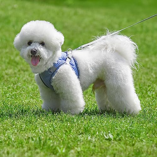 JOYPAWS Soft Dog Harness and Leash Set for Walking, Summer Step in Vest Harness, Reflective Bands, Ultra Thin Breathable P...