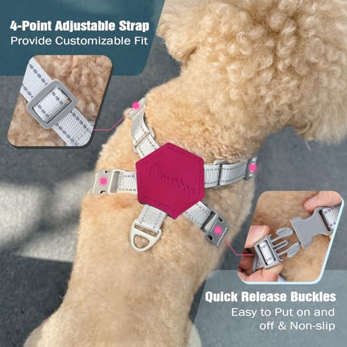 Pawaboo Small Dog Harness and Leash Set, Puppy Harness X-Frame No Pull No Choke, Dog Vest Harness Adjustable for Small Med...