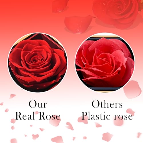 TINGKU Eternal Real Rose Gift Box for Women, Preserved Rose with Customized Engraved Name Heart Necklace, Personalized For...