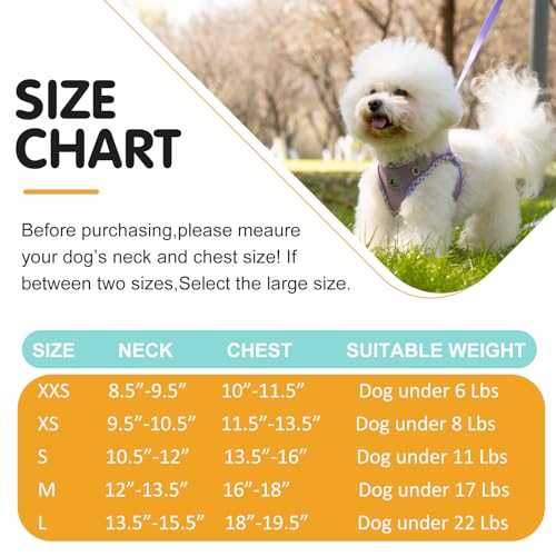 TomteNisse Dog Harness and Leash Set - No Pull Soft Breathable Small Dog Harness, Adjustable Reflective Step in Vest for P...